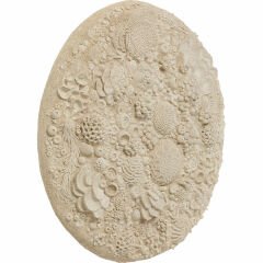 Coral Reef Duvar Süsü 123cm