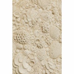 Coral Reef Duvar Süsü 123cm