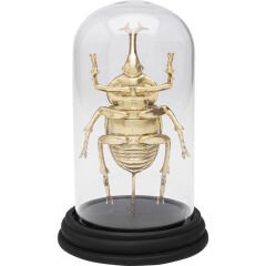 Deko Object Hercules Beetle 20cm