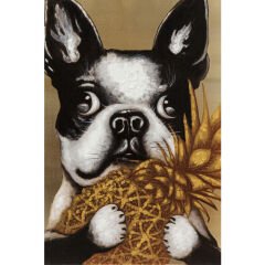 Dog with Pineapple Touched Resim 80x80cm