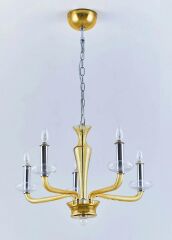 5 Kollu Cam Gövde Avize Bal Rengi