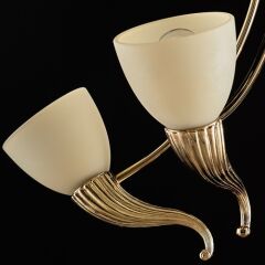 4 Kollu Camlı Avize Metal Gövdeli Gold Beyaz 4728