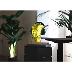 Headphone Mount Transparent Assorted 29cm