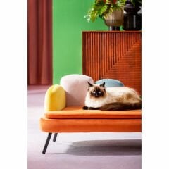 Bed Diva Turuncu Dekoratif Aksesuar