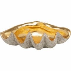 Noble Shell Dekoratif Kase 41x27cm