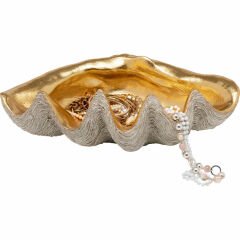 Noble Shell Dekoratif Kase 41x27cm