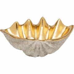 Noble Shell Dekoratif Kase 41x27cm