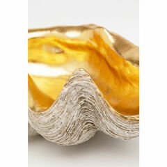 Noble Shell Dekoratif Kase 41x27cm