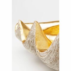 Noble Shell Dekoratif Kase 41x27cm