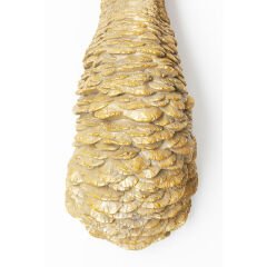 Ostrich Gold Duvar Dekorasyonu