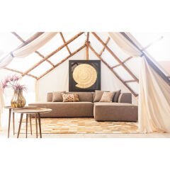 Golden Snail Çerçeveli Tablo