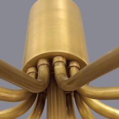 Elisara On Kollu Avize