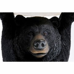 Animal Bear Yan Sehpa