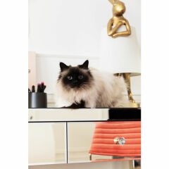 Luxury Pearl Konsol