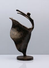 Lyric Polyester Biblo