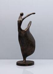 Lyric Polyester Biblo