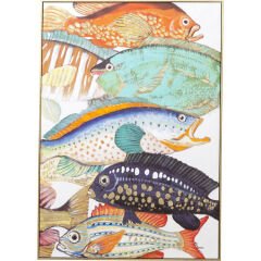 Fish Meeting Two Touched Picture 75x100cm