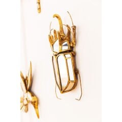 Beetle Dekoratif Duvar Aynası