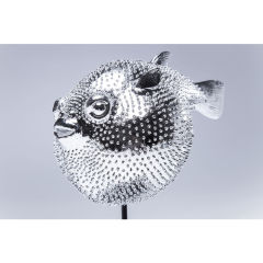 Blowfish Metal Boyalı Dekoratif Obje
