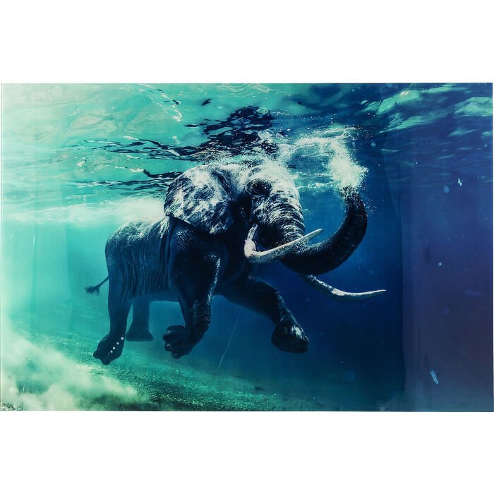 Swimming Elephant Cam Resim